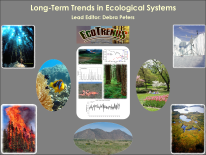 EcoTrends Book Cover